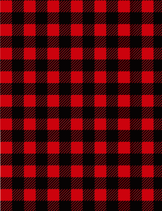 Red Buffalo Plaid: 14 x 19” Poly Mailer