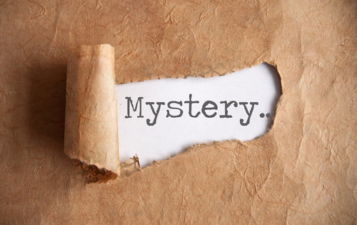 Mystery Plated Locket
